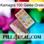 Kamagra 100 Gelée Orale new13